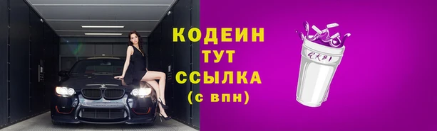 СК Зеленодольск