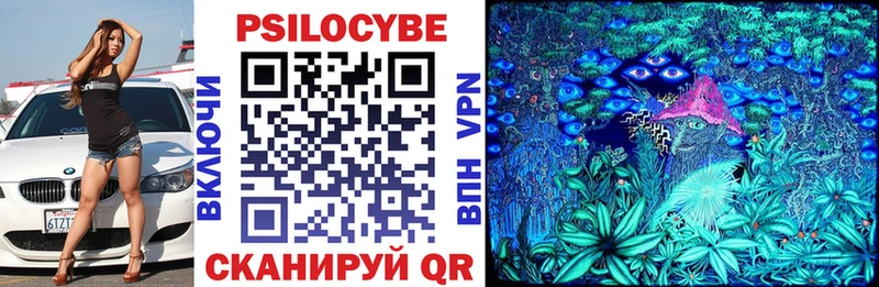 Купить где  Жиздра  Галлюциногенные грибы Cubensis 