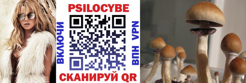 Галлюциногенные грибы GOLDEN TEACHER Жиздра
