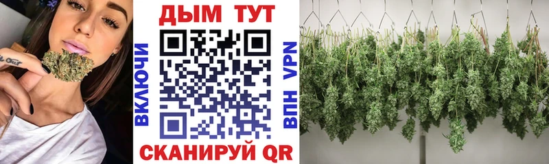 Бошки марихуана OG Kush  Купить где  Жиздра 